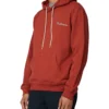 Baird Logo Hoodie - Cinnamon