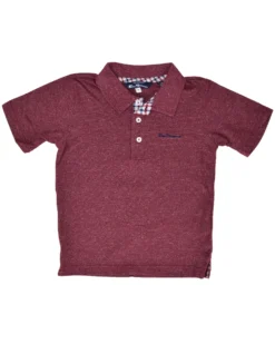Babyfair Boys' Short-Sleeve Polo Shirt - Red (Sizes 8-18) Kids Shop