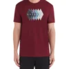 Zuma Argyle Logo Graphic Tee - Maroon Loungewear