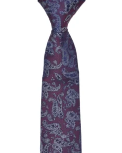 Randa Lexington Paisley Print Silk Neck Tie - Burgundy