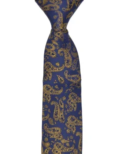 Randa Tailored Shop Lexington Paisley Print Silk Neck Tie - Navy/Yellow